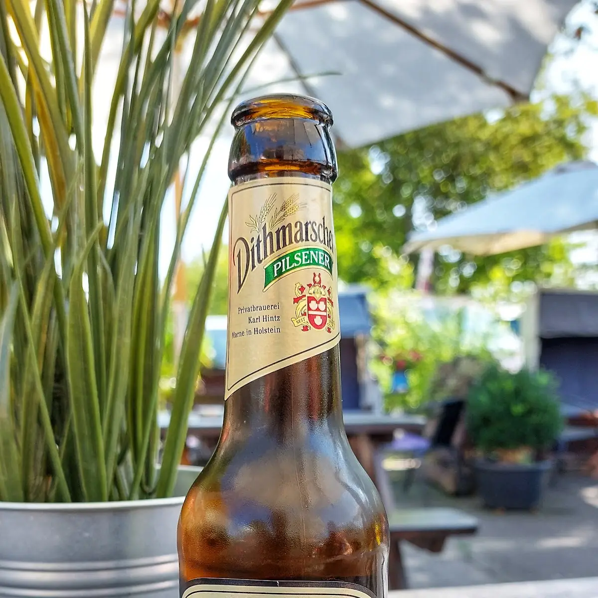Bier