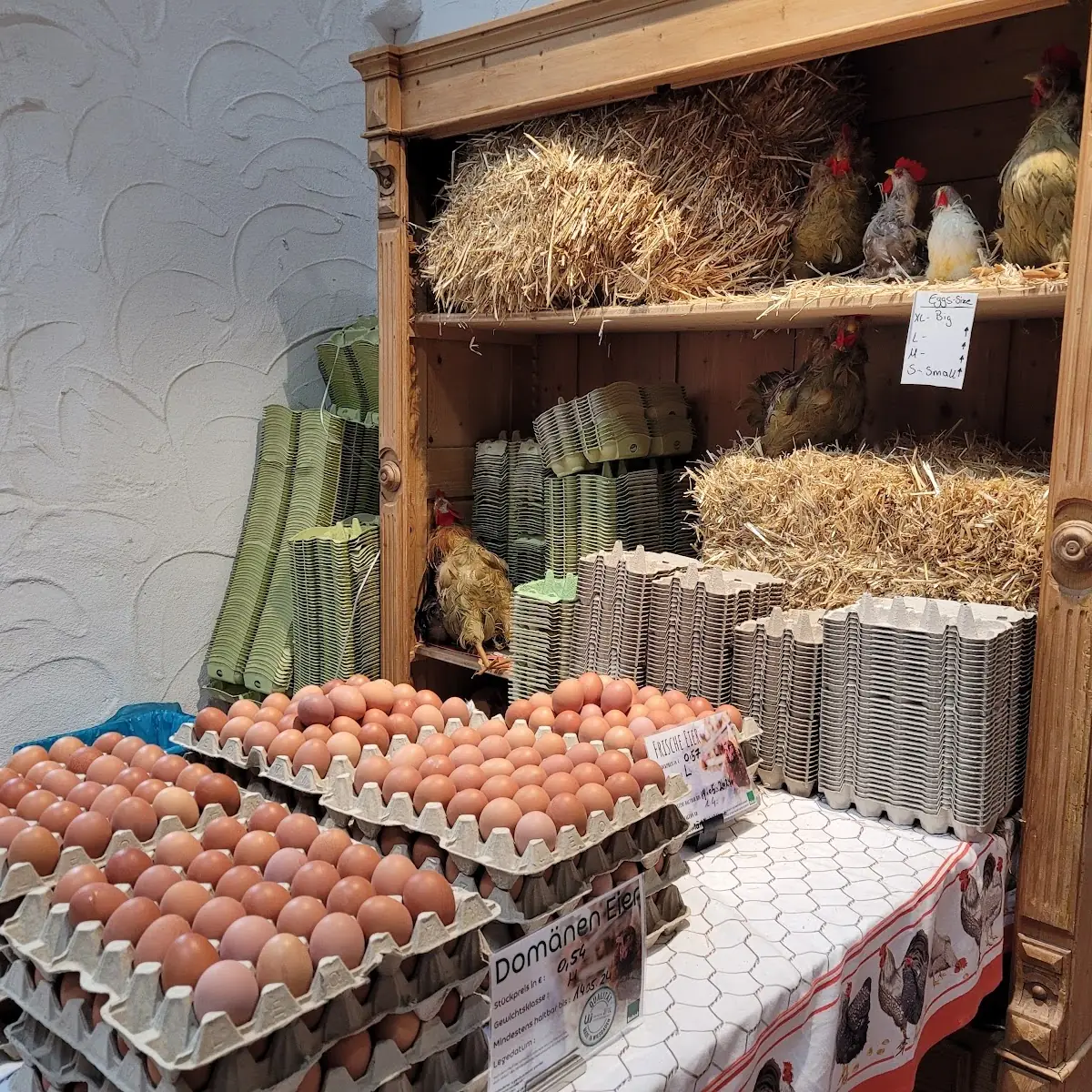 Frische Eier Im Shop