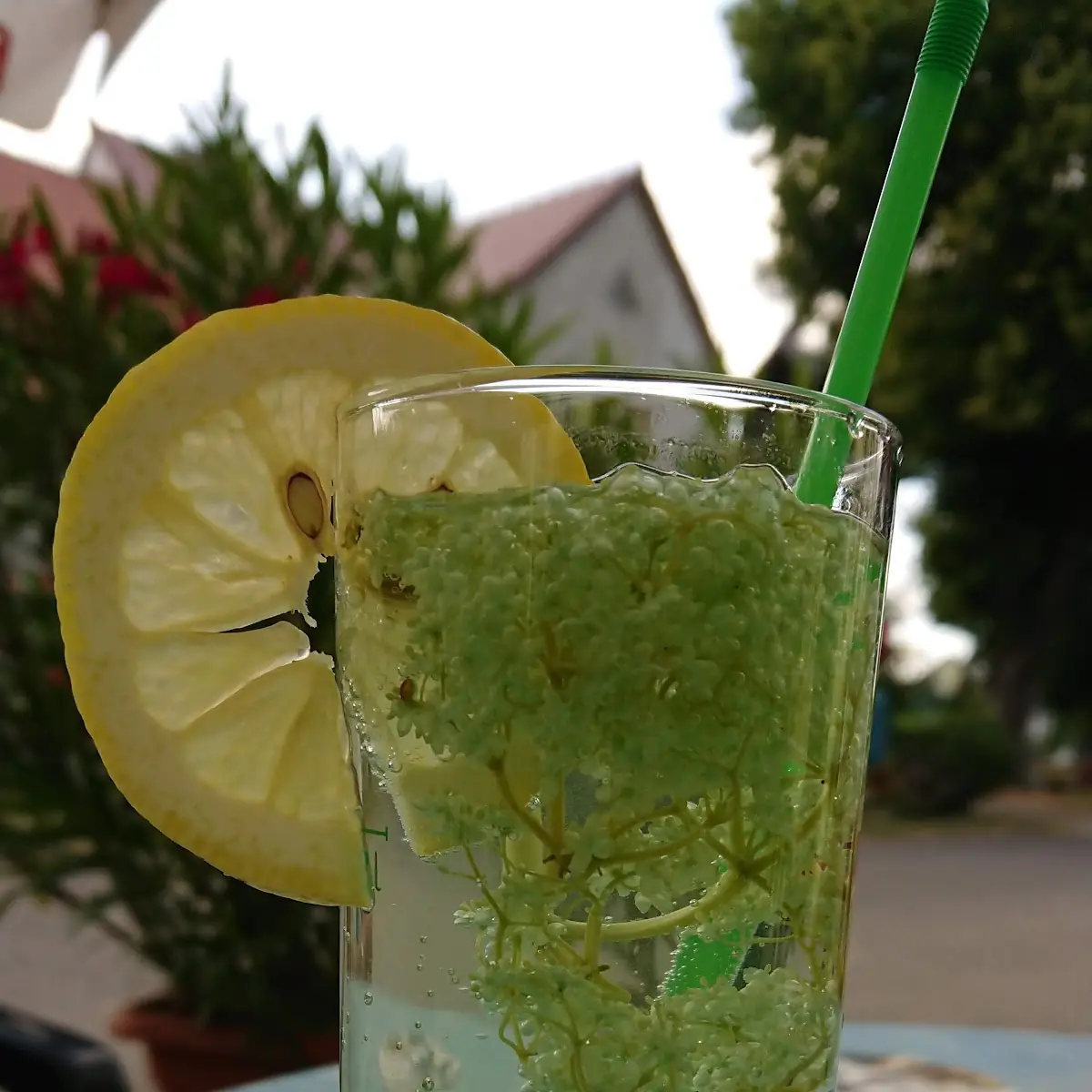 Holundersaft