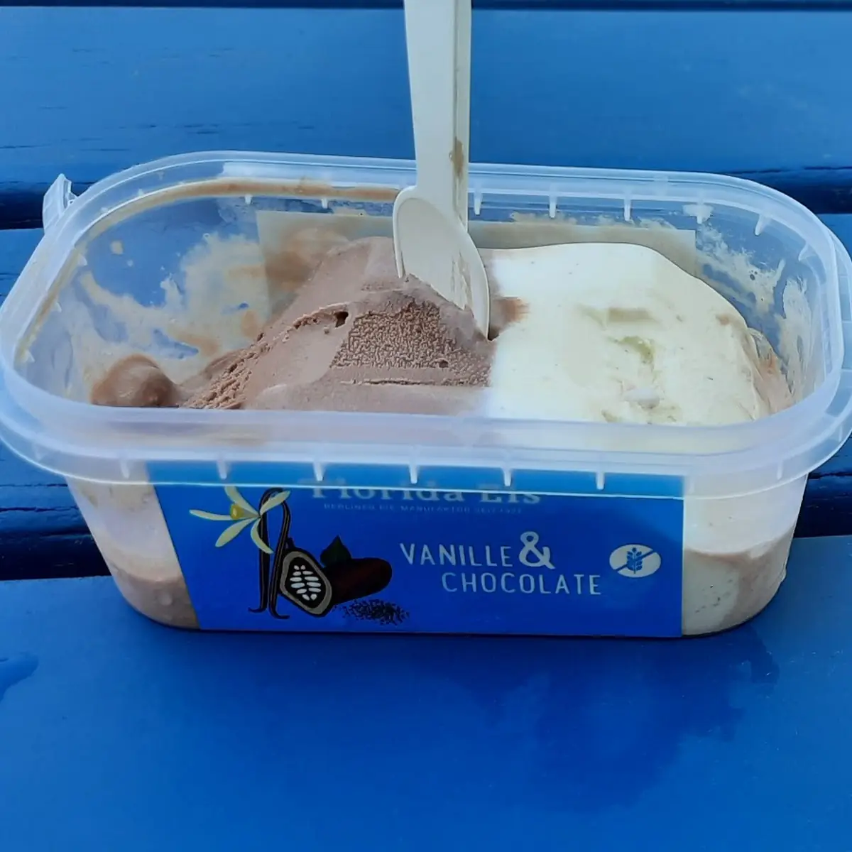 Florida-eis