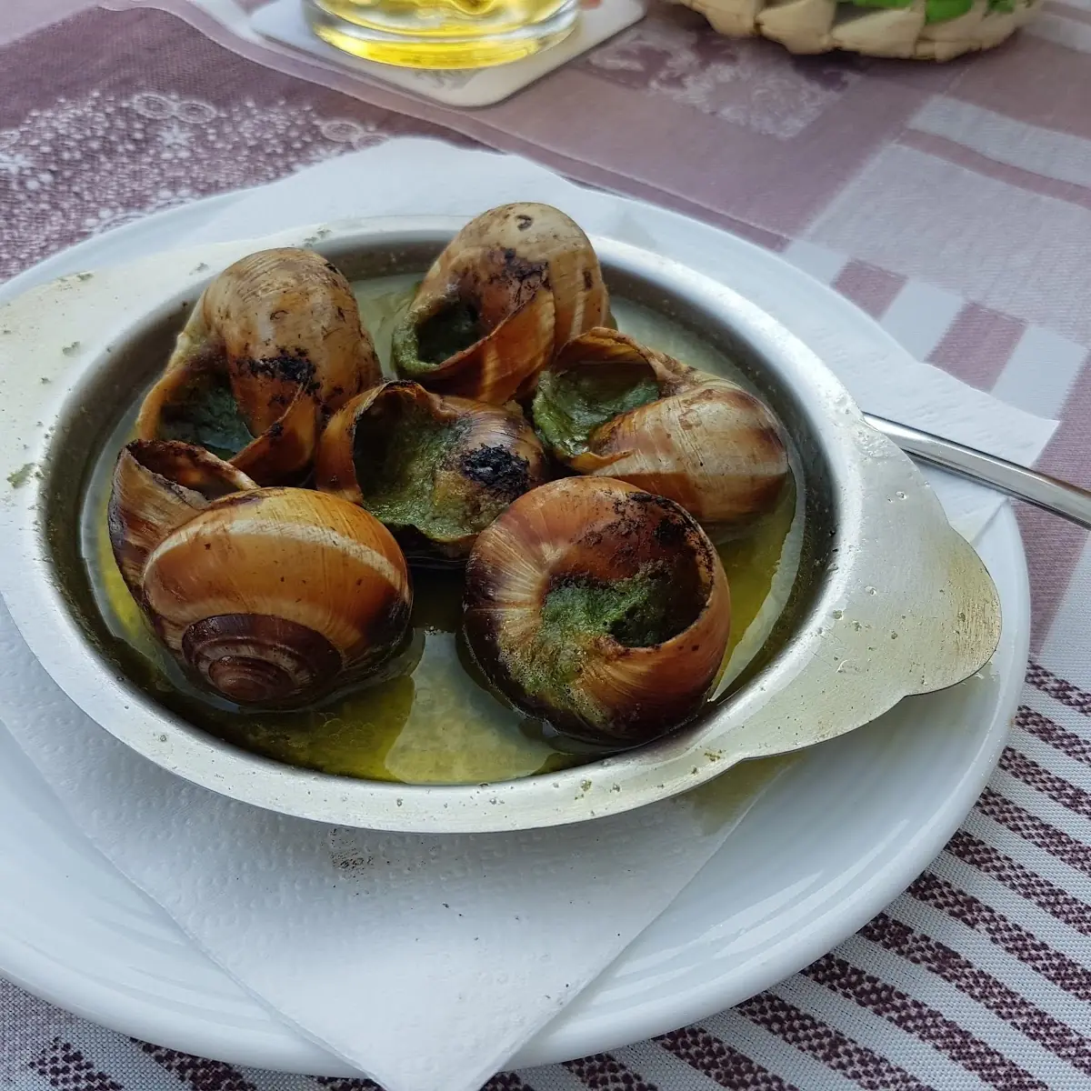 Schnecken