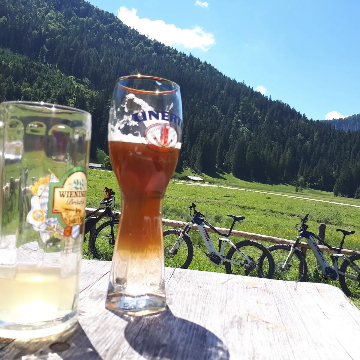 Bier