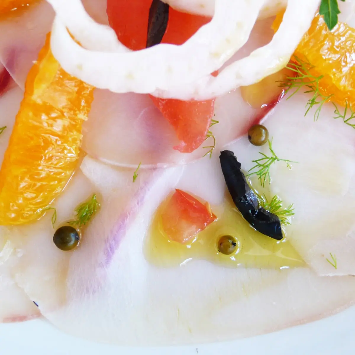 Crudo