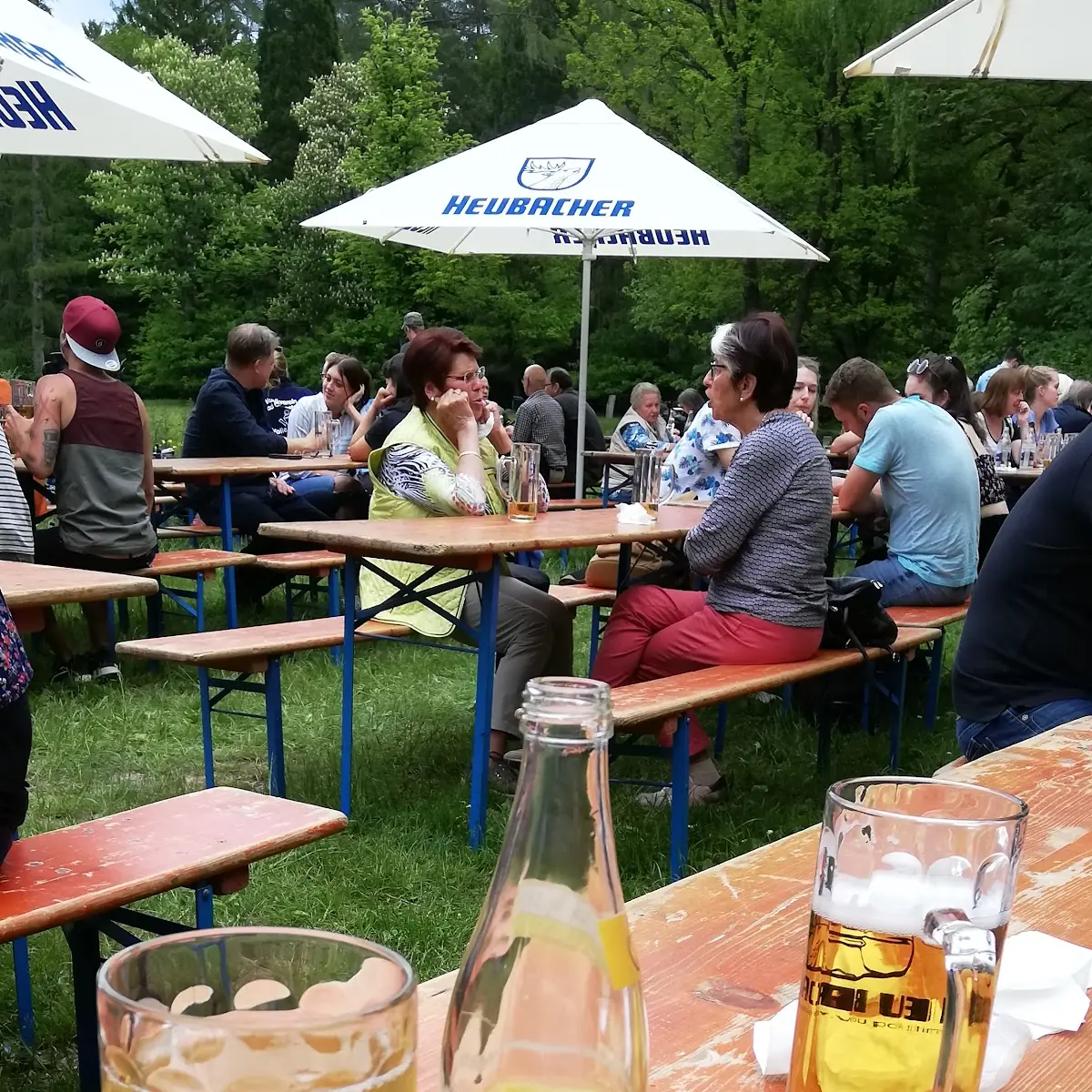 Bier
