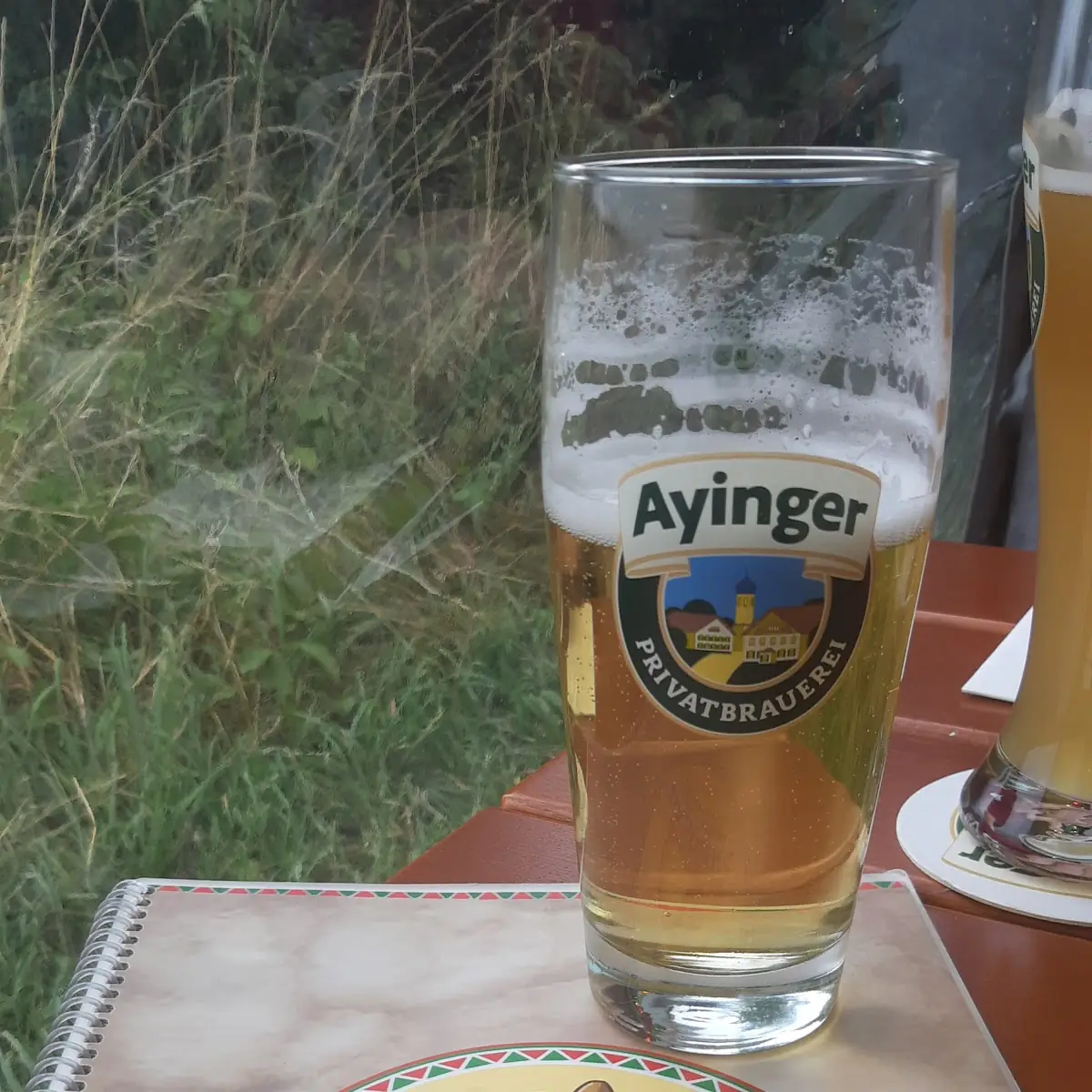 Bier