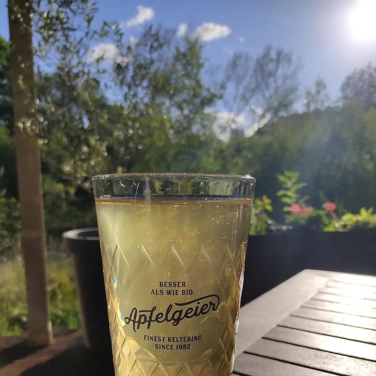 Cider