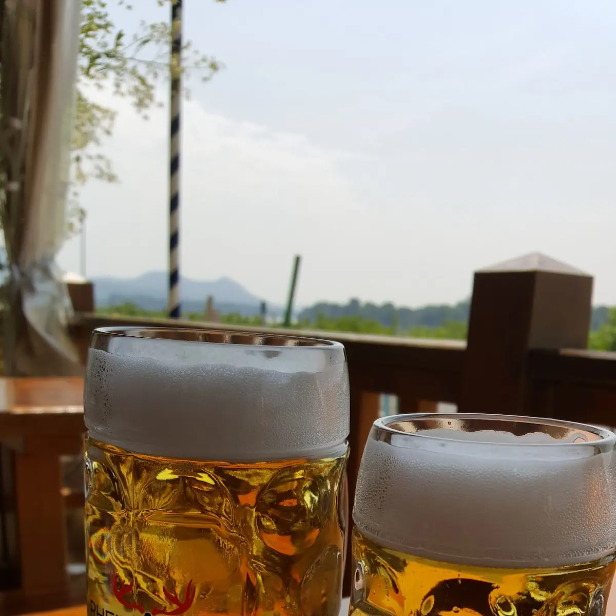 Tegernseer