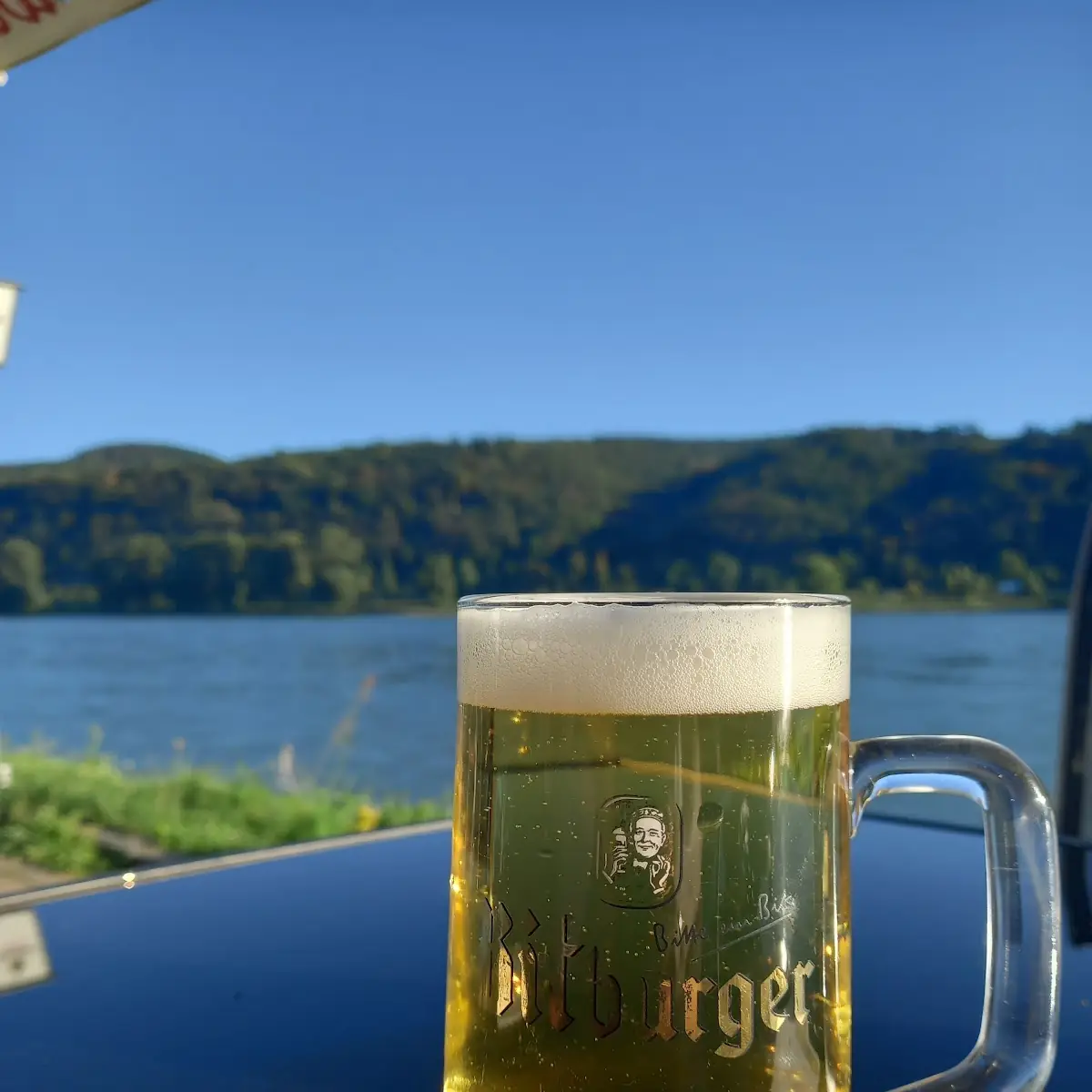 Bier