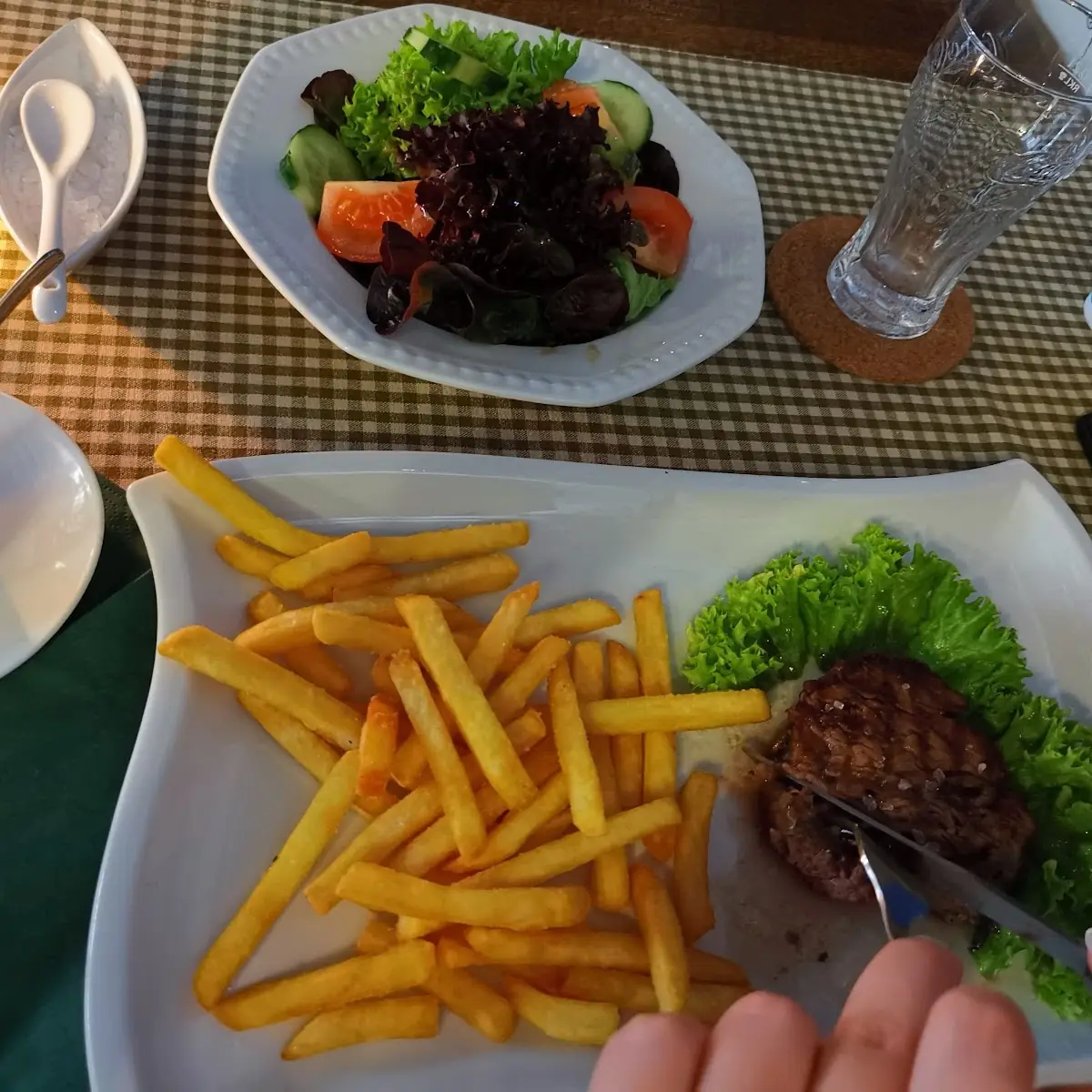 Bison Filet