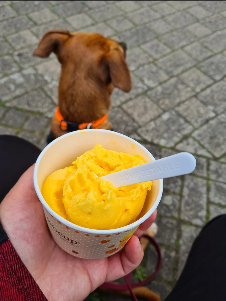 Mango-eis