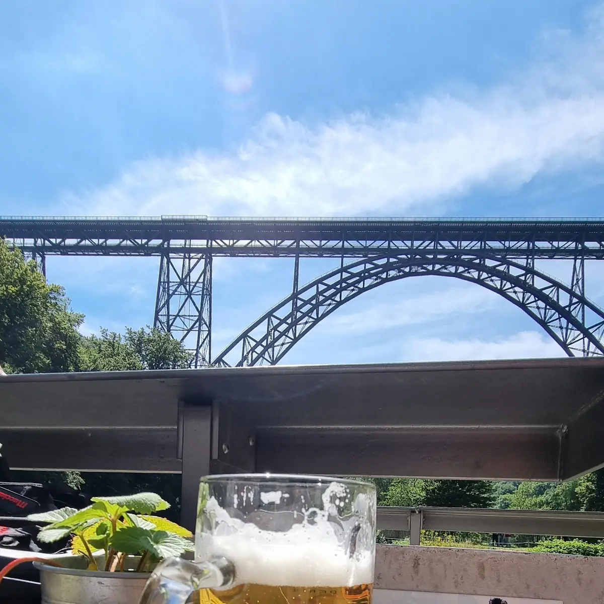 Bier