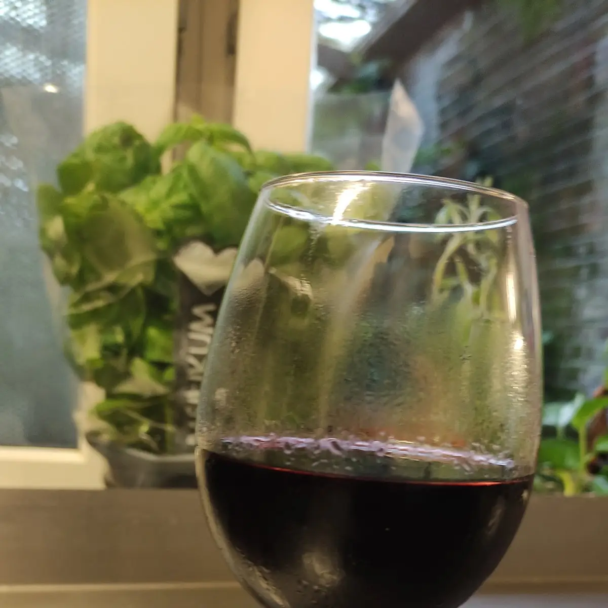 Rotwein