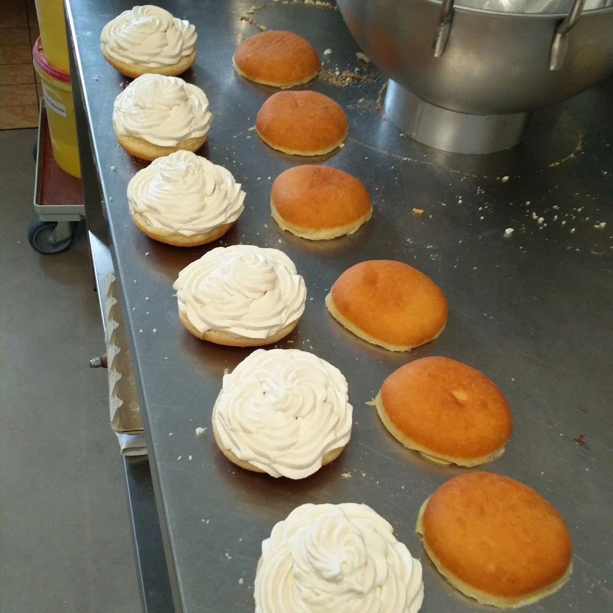 Highlight 5
