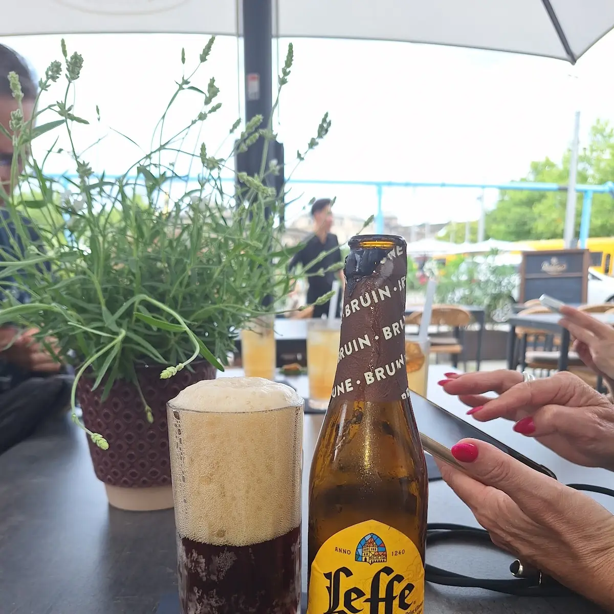 Bier