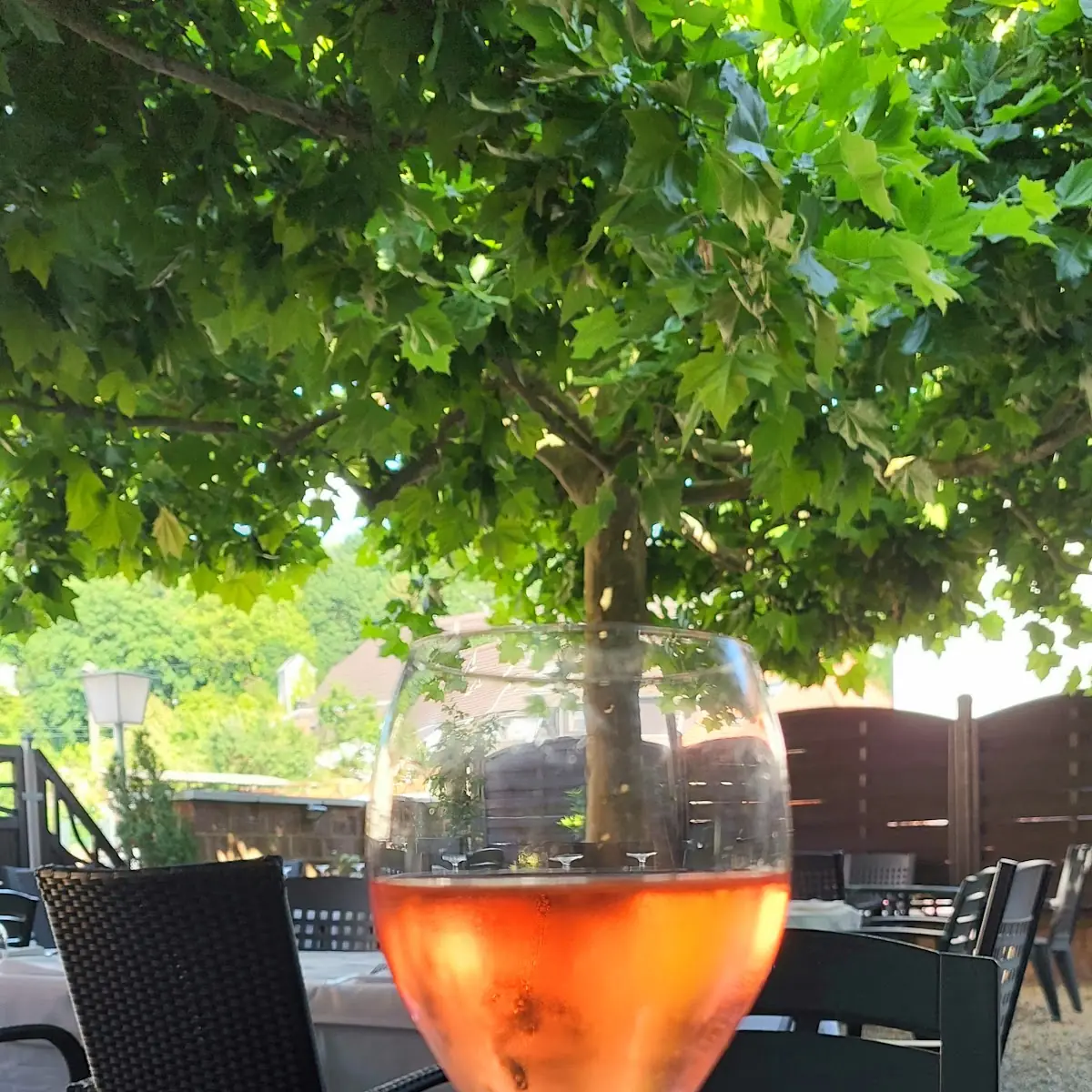 Proseco