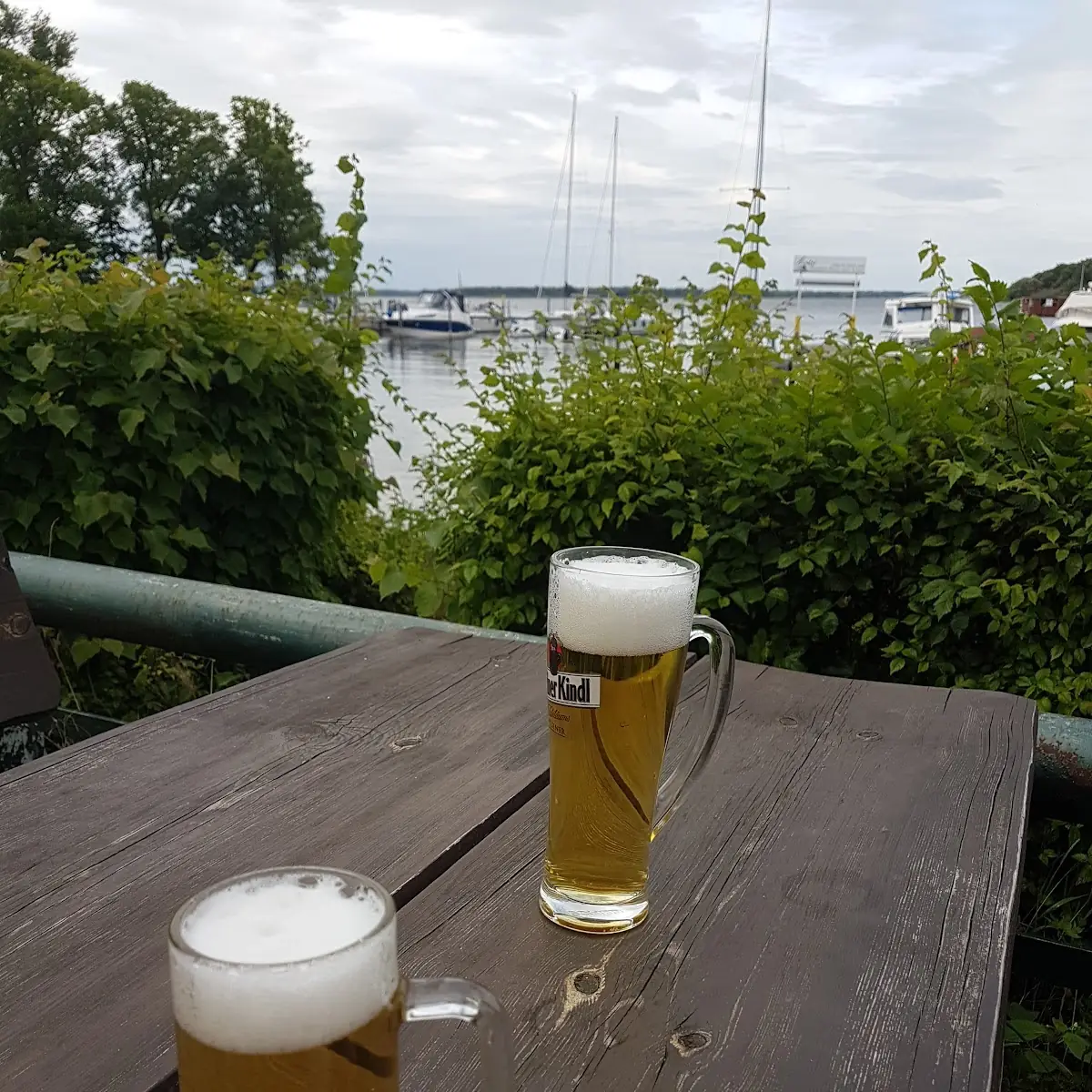 Bier
