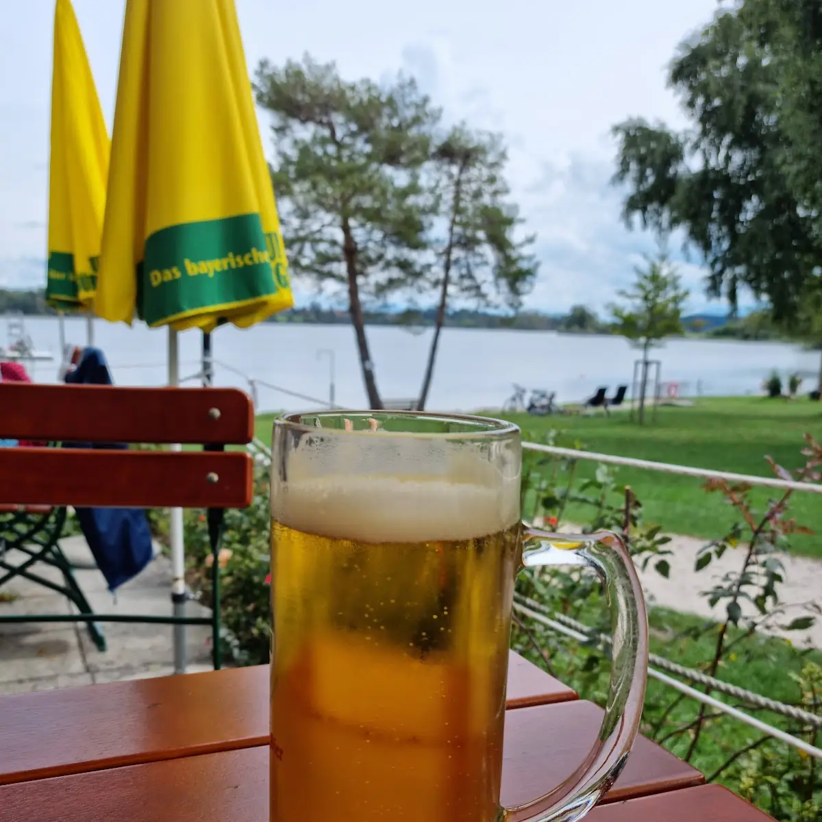 Bier