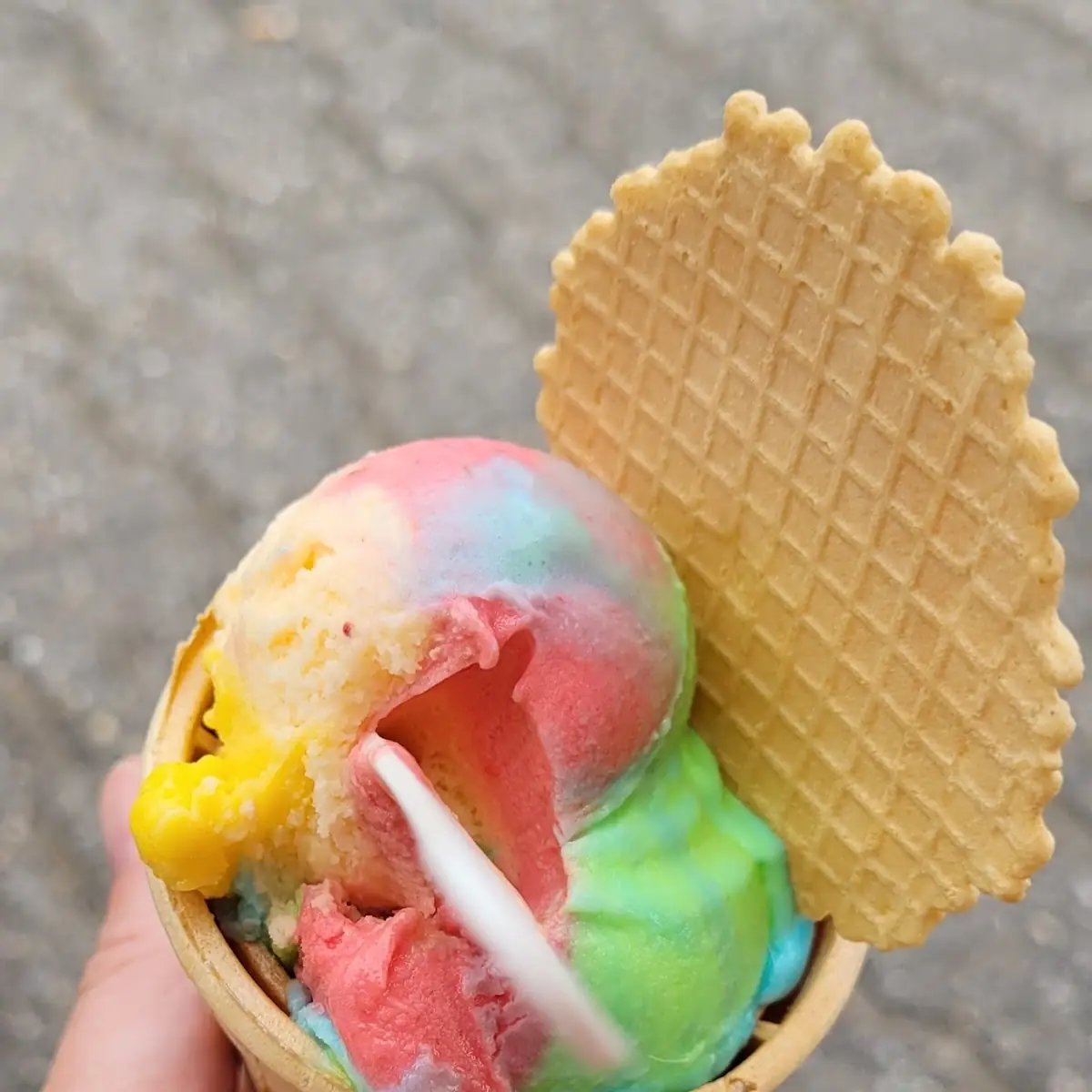 Regenbogeneis