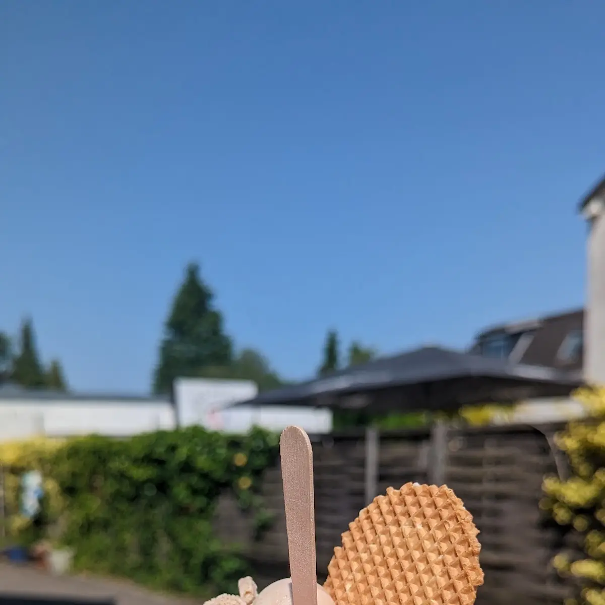 Haselnuss Eis
