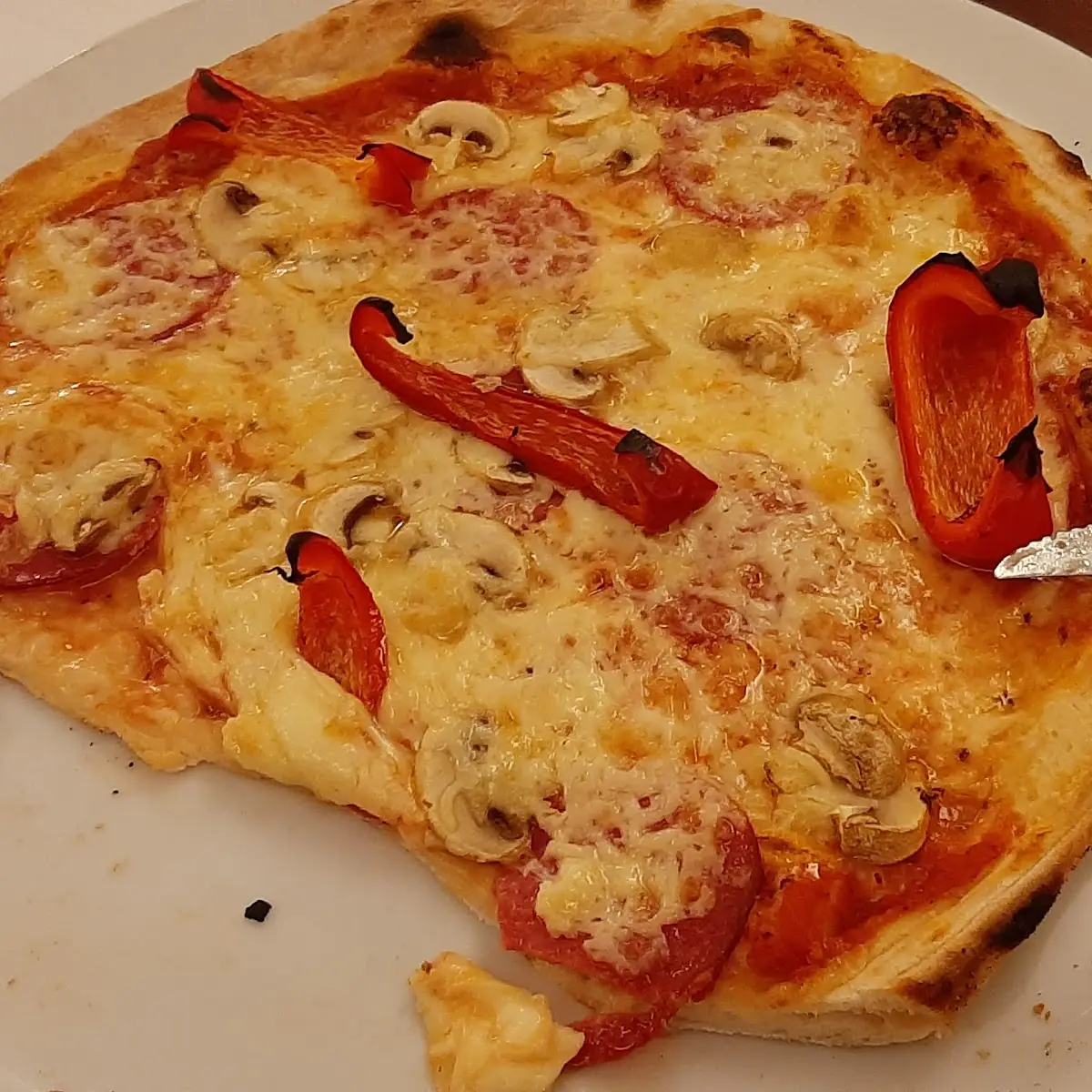 Pizza Speziale