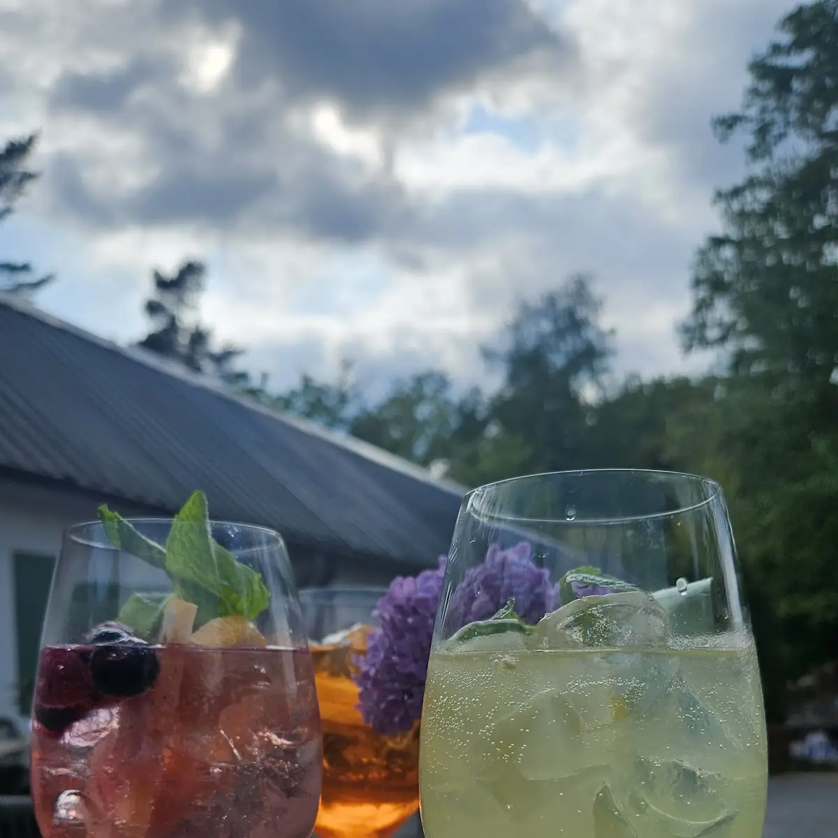 Sangria