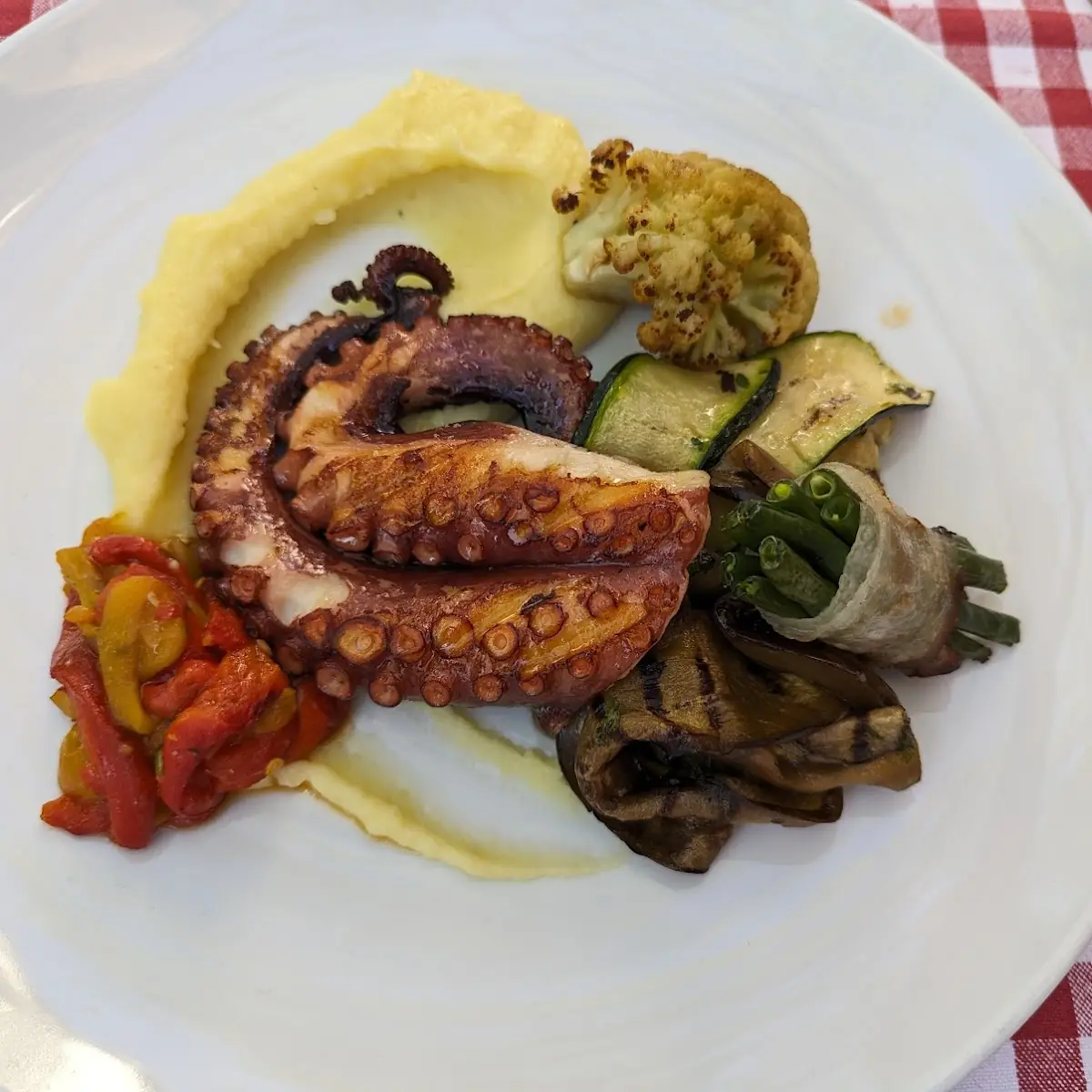 Grilled Octopus