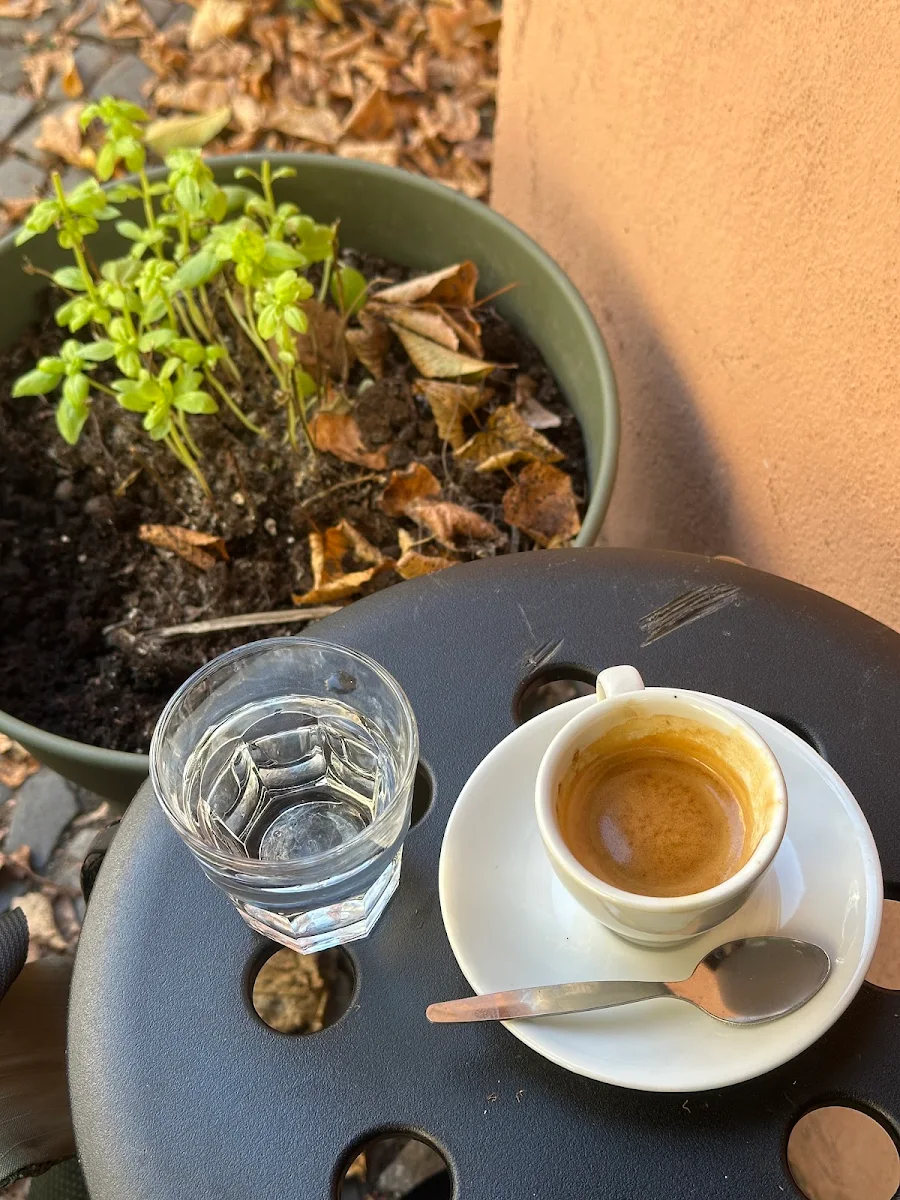 Solid Espresso