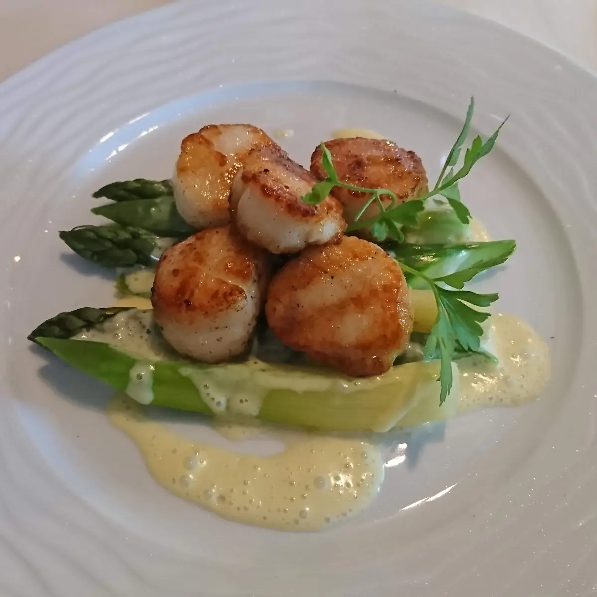 Scallops
