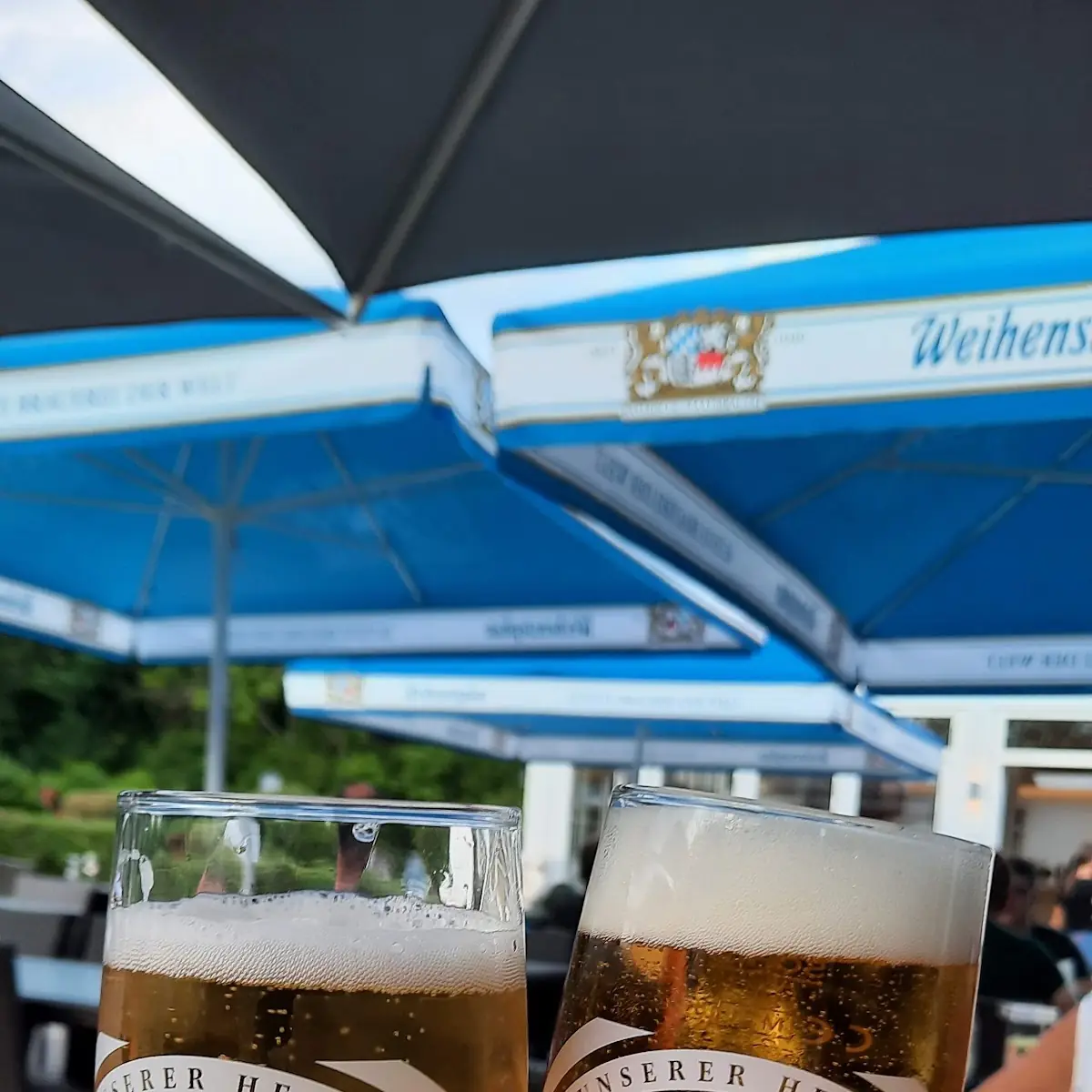 Bier