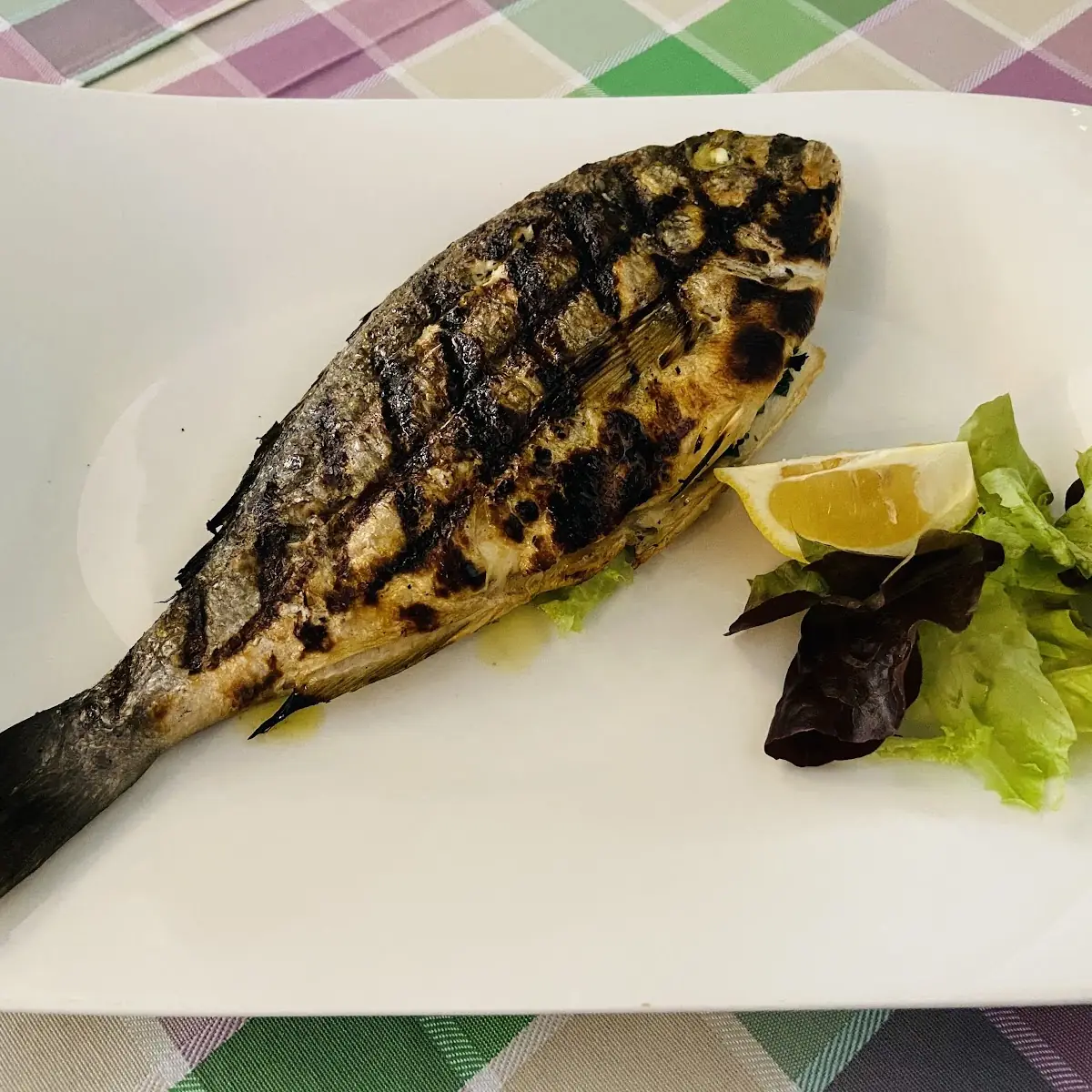 Mackerel