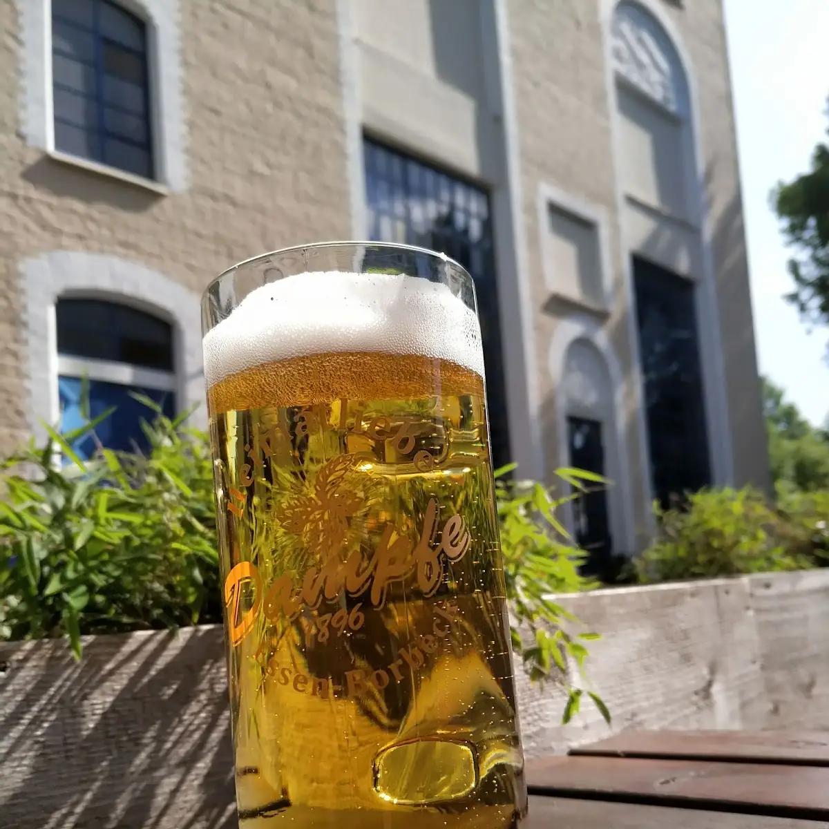 Helles Bier, Dampfe