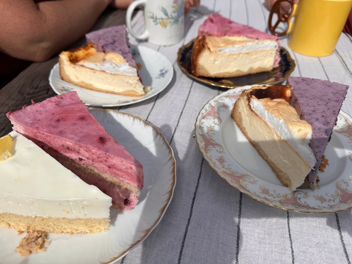 Highlights, Wildberg Café - Stefanie Traut