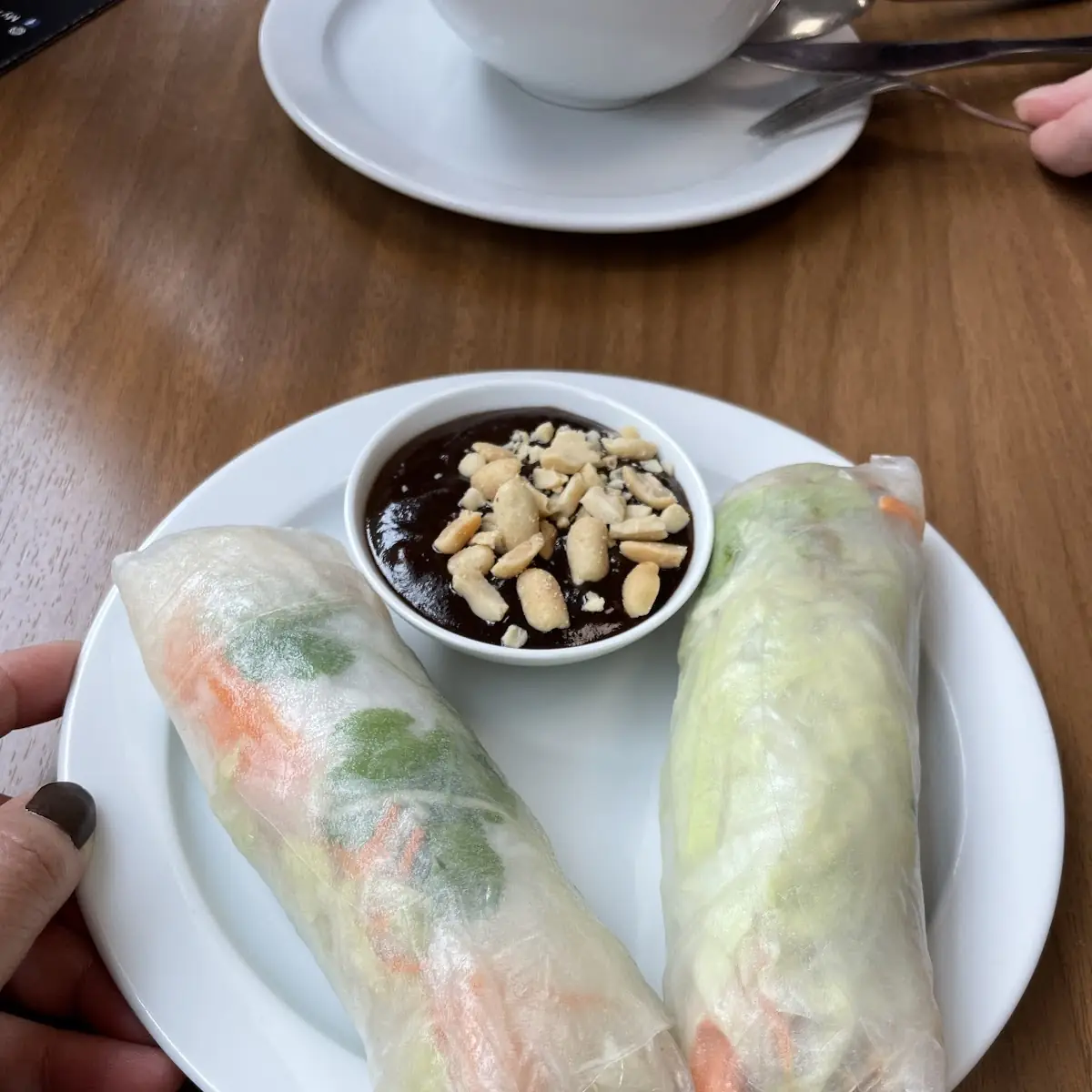 Spring Roll