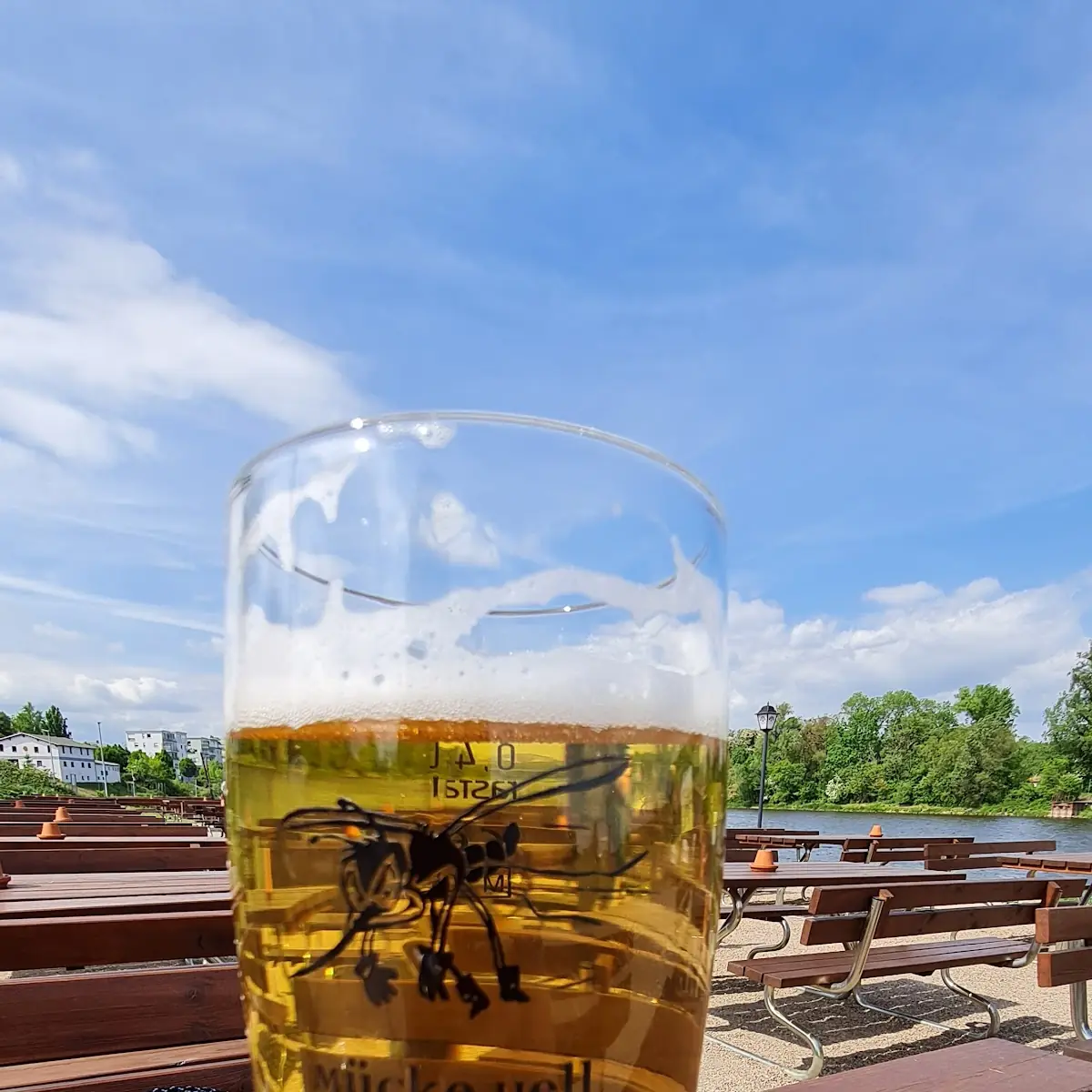 Bier