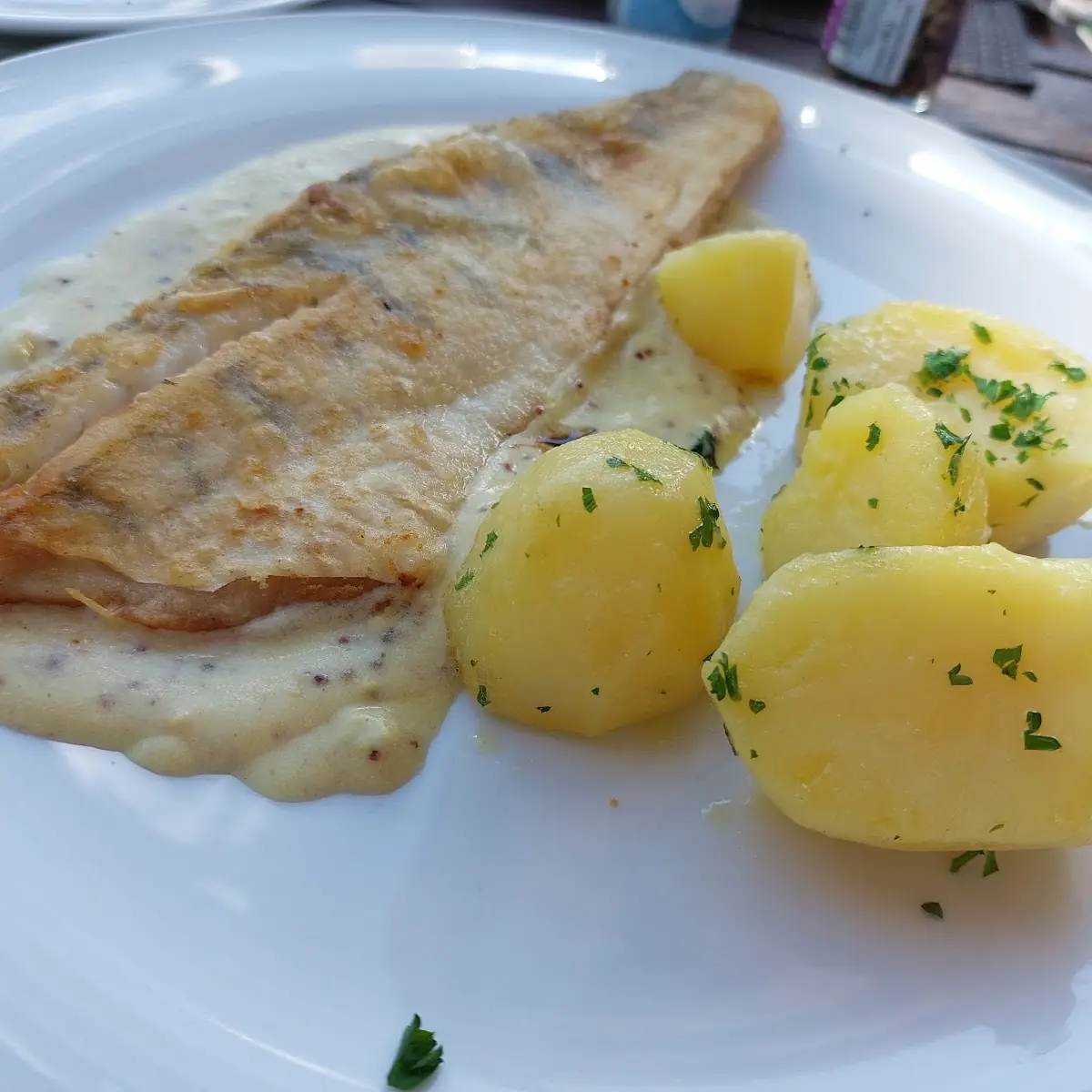 Fisch