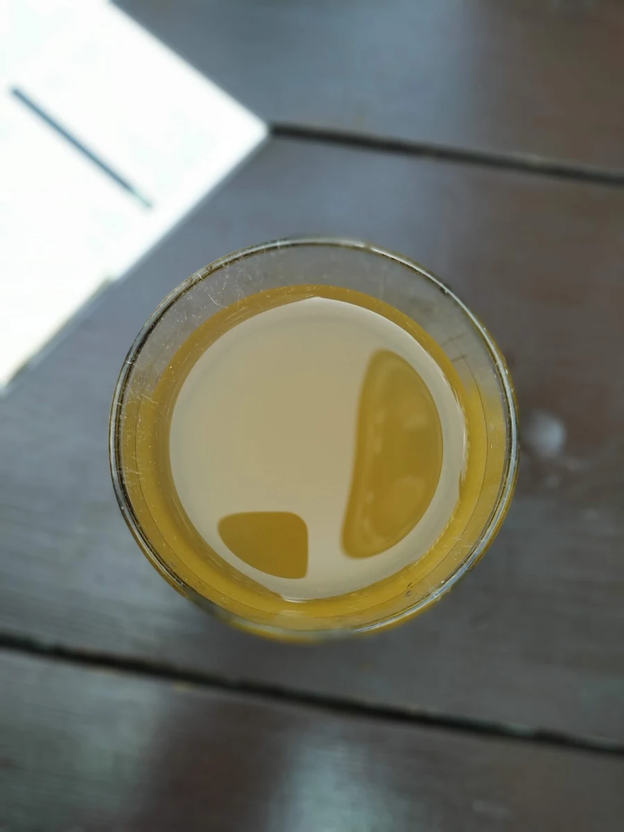 Bio Apfelschorle