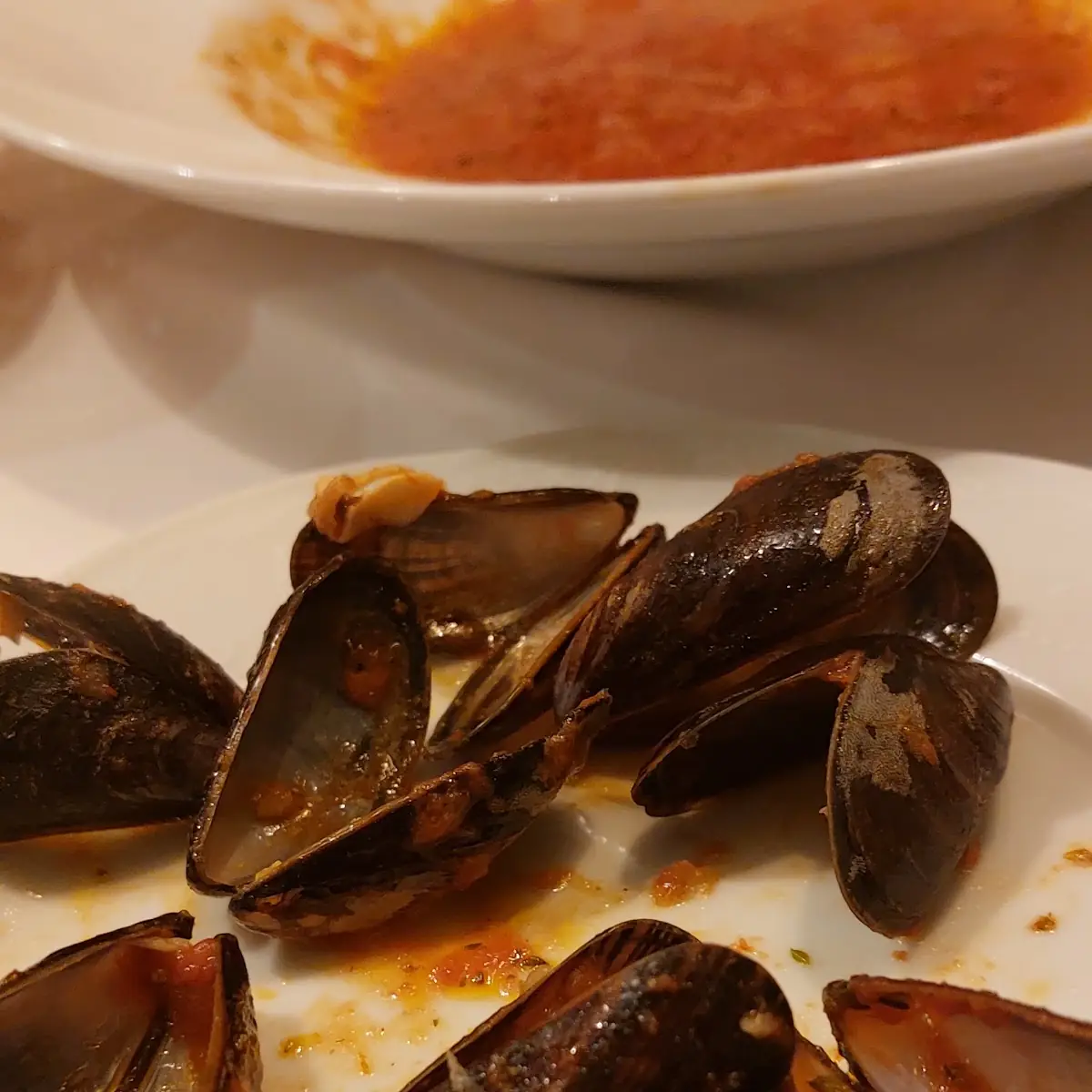 Miesmuscheln