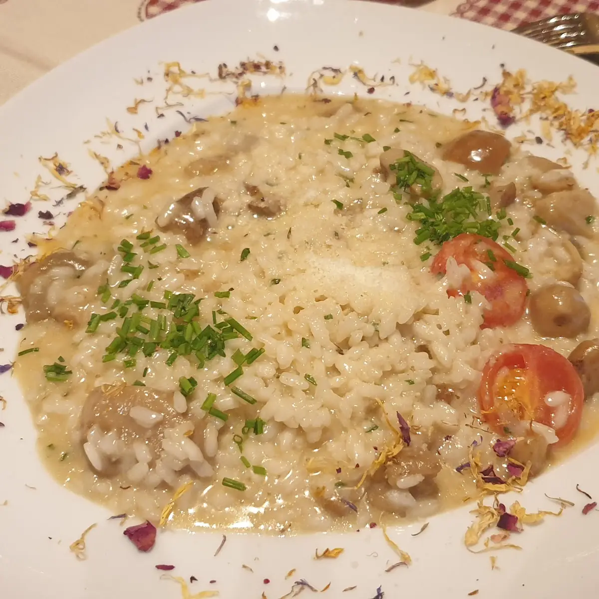 Risotto