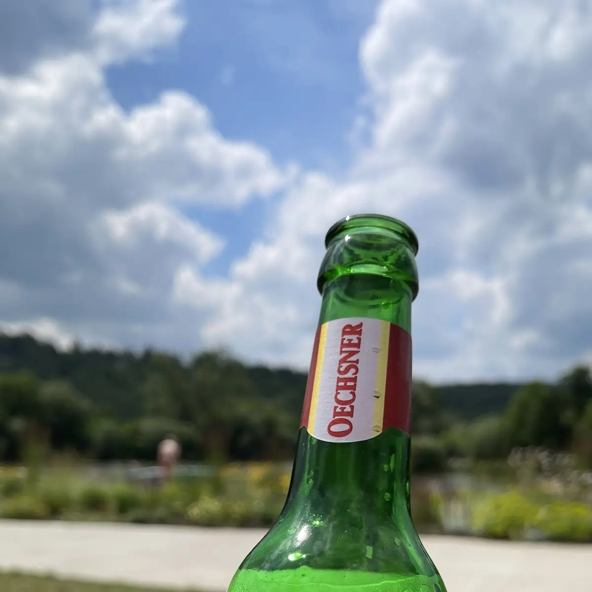 Bier