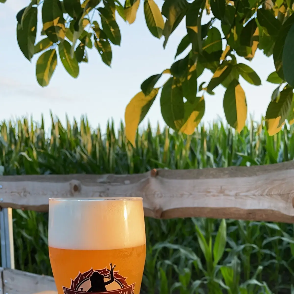 Beer, Kämper Bräu Biergarten