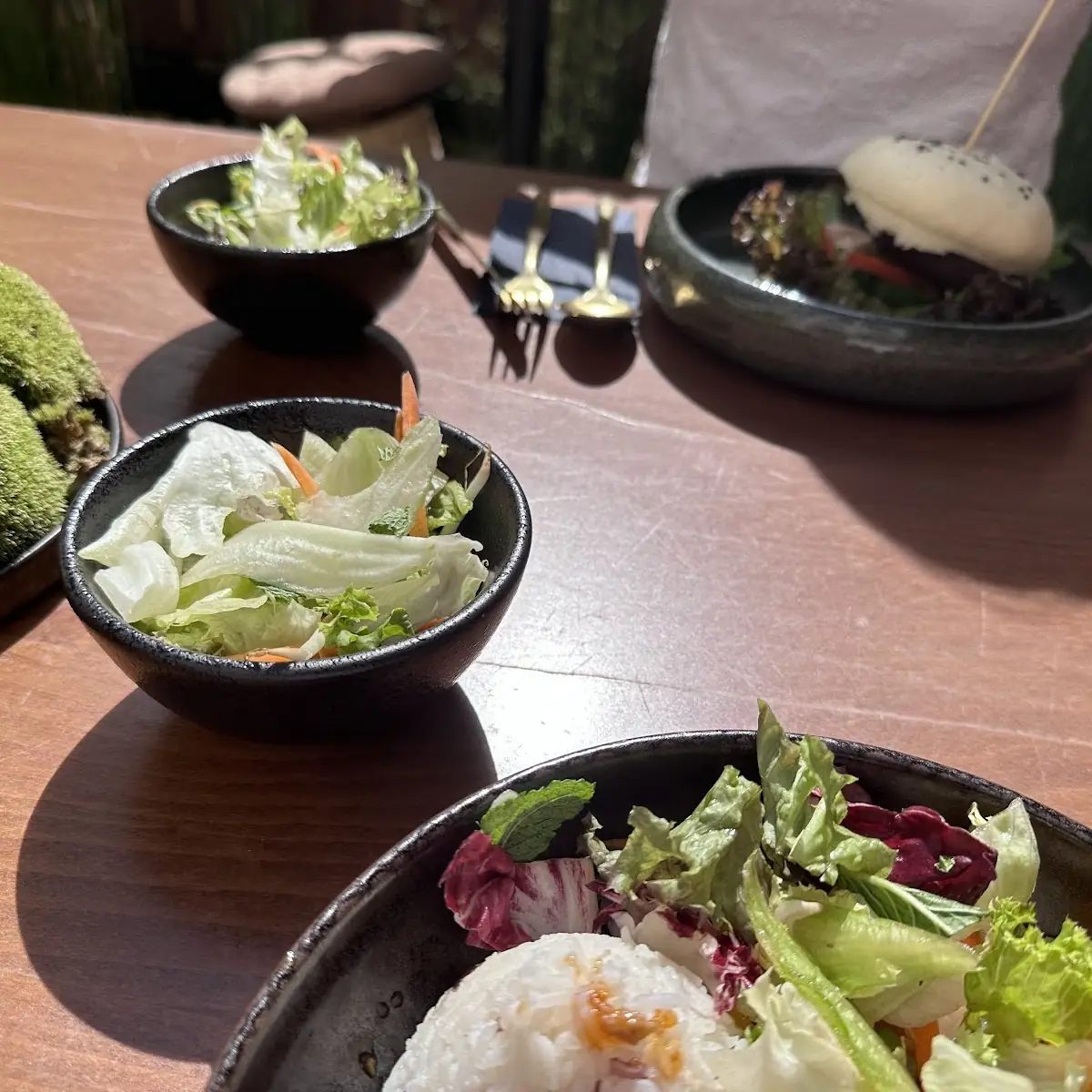 Salat, Hoa Rong