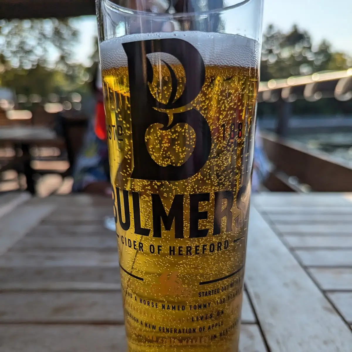 Cider