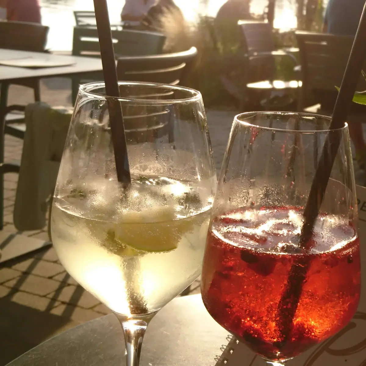 Hugo, Restaurant Strandbad Reichenau