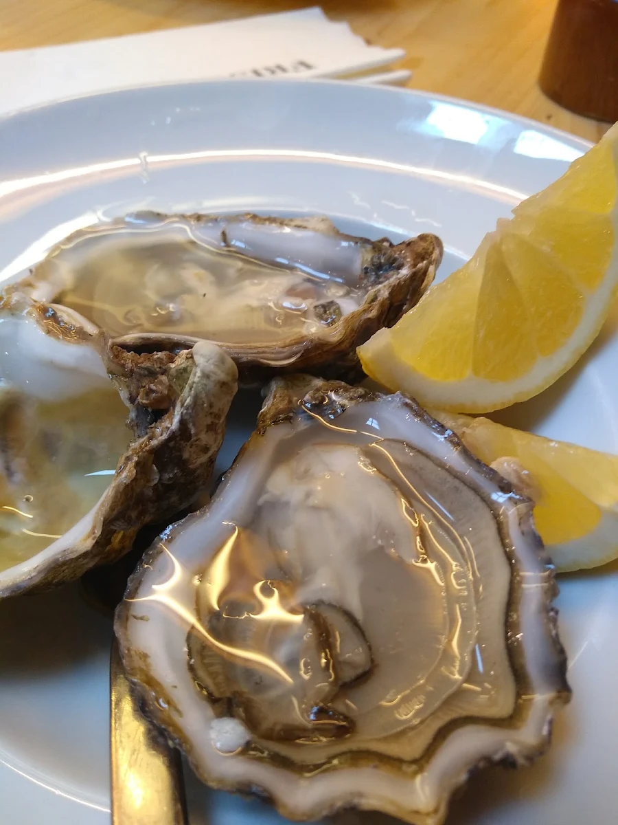 Oyster