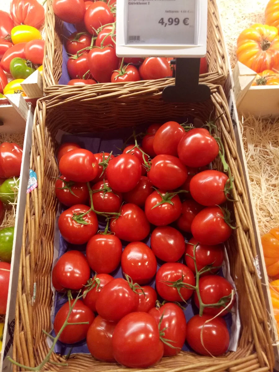 Tomato
