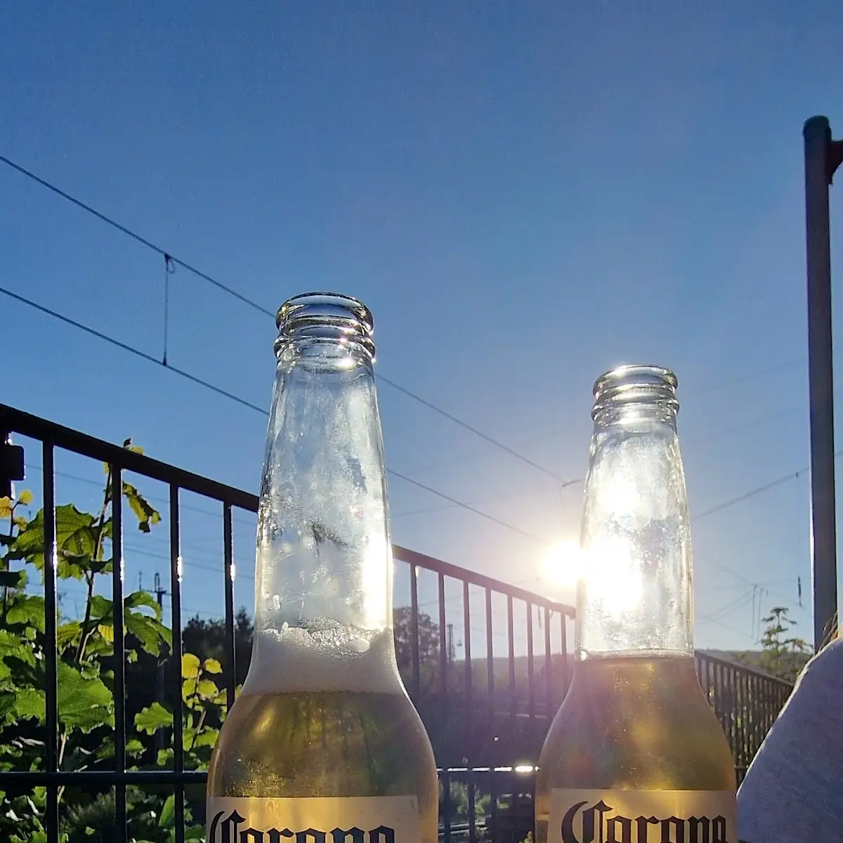 Corona