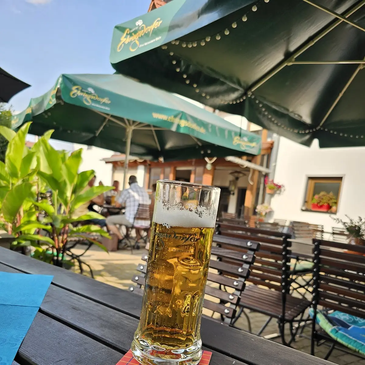 Bier