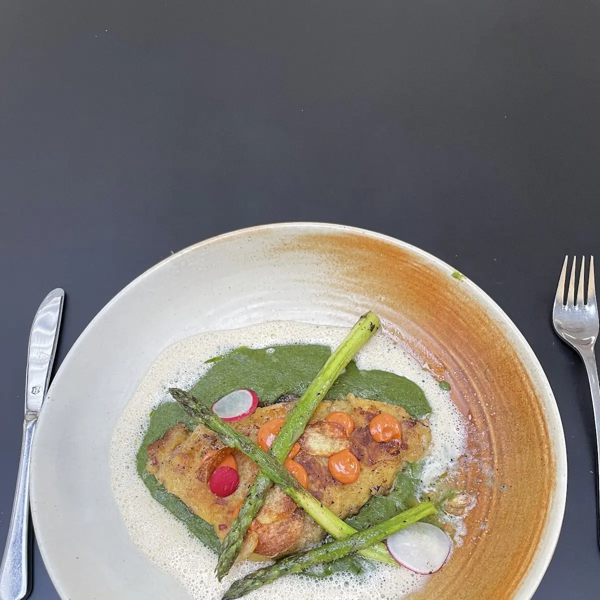 Dourade Fish