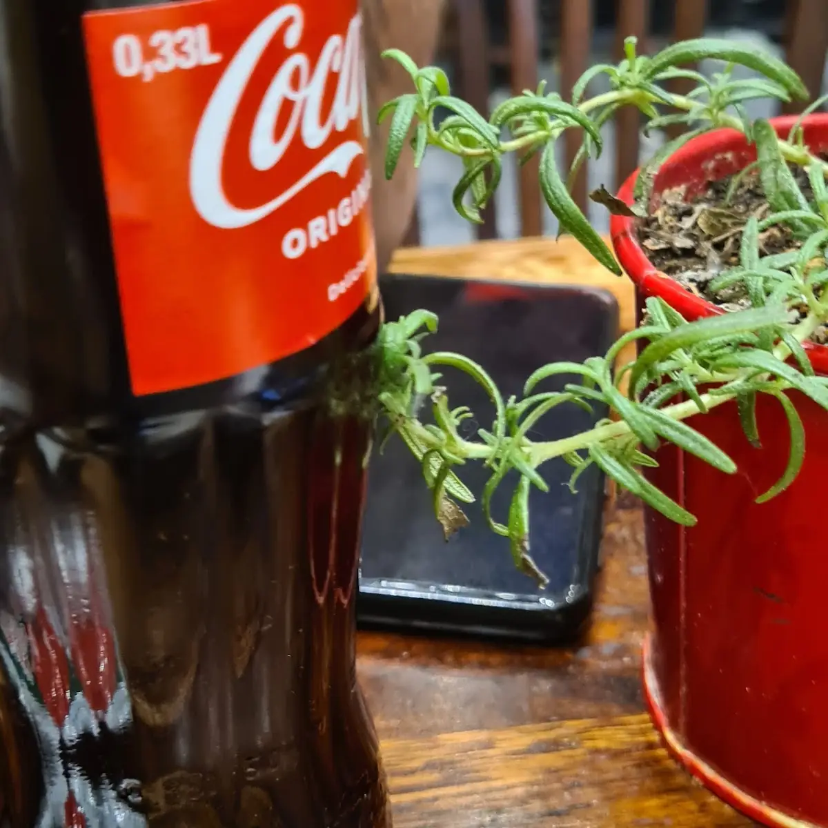Cola