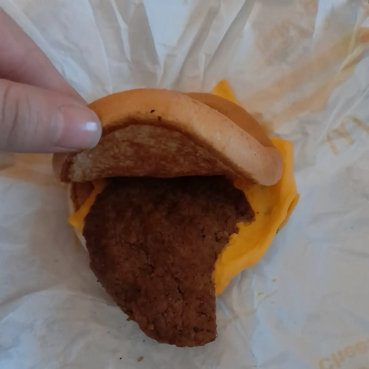 Double Cheeseburger